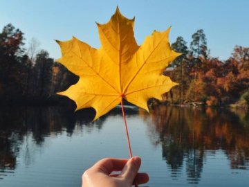 Погода у Луцьку на завтра, 25 жовтня