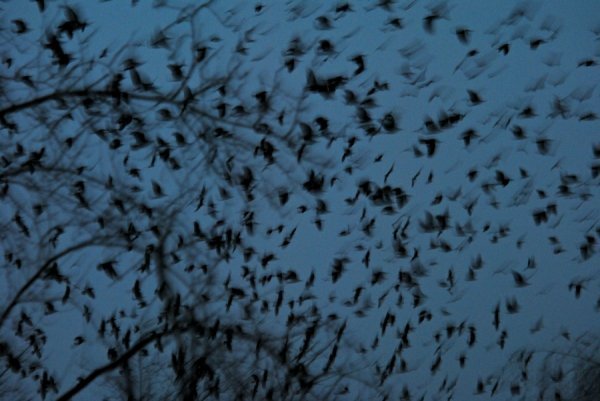 Фотовиставка Ірини Ільчук 