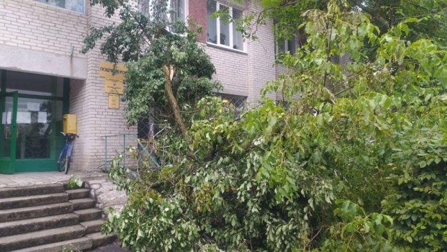 На Волині буревій наробив лиха: на яку компенсацію розраховувати людям. ФОТО. ВІДЕО