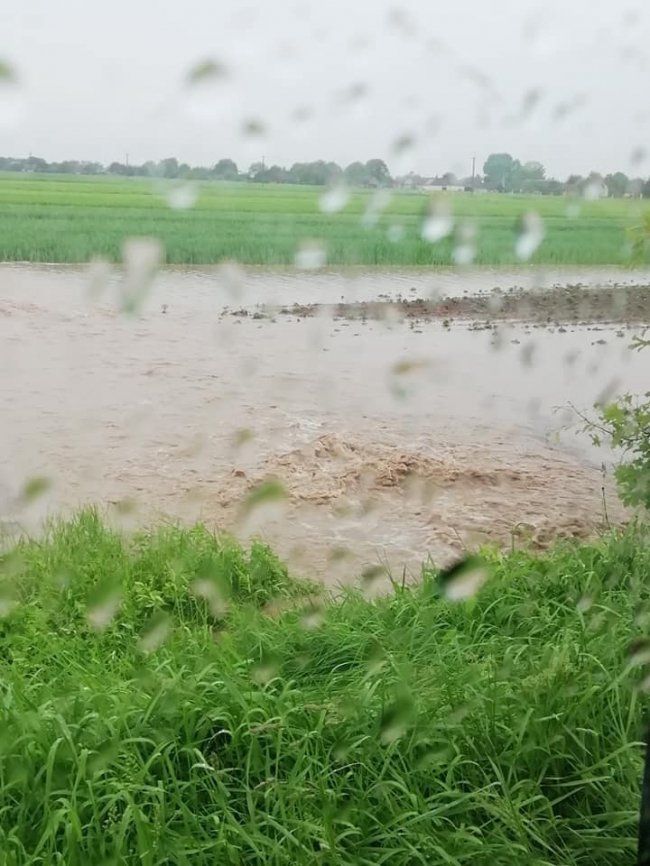 Врожаю не буде: на Ковельщині град побив сотні гектарів поля. ФОТО