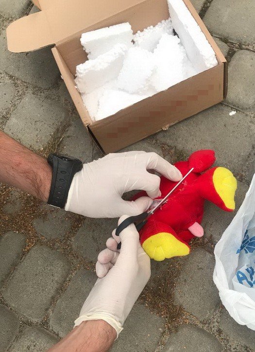 Ведмедик з «сюрпризом»: на Волині викрили канал постачання наркотиків в колонію. ФОТО