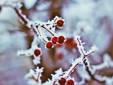 12 січня – яке сьогодні свято: традиції, заборони і прикмети