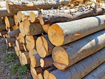 Продавав неіснуючі дрова: волинянина судитимуть за шахрайство