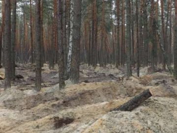Незаконного видобутку бурштину на Волині стало менше, - поліція