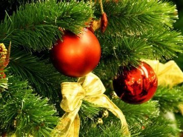 Повідомили, коли в Ковелі засвітять міську ялинку