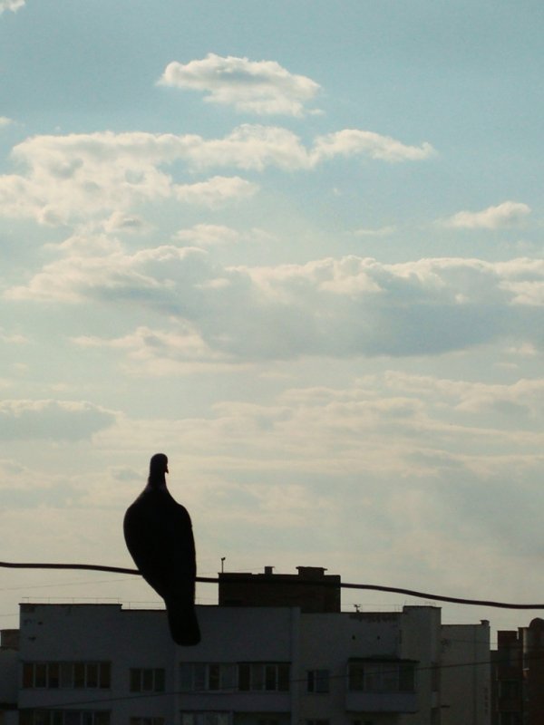 Фотовиставка Валентини Жуги