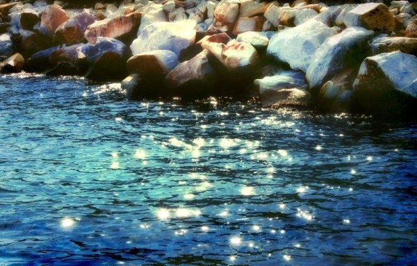 Фотовиставка Ольги Антонюк