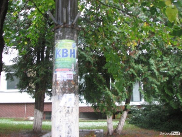 Луцьк не очистили від політичної агітації. ФОТО 