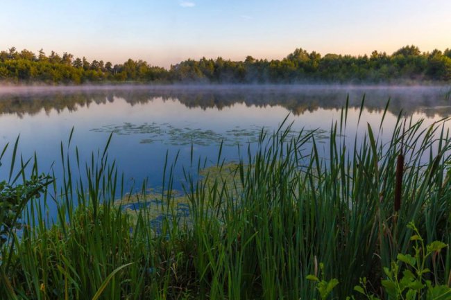 Чарівний світанок на волинському озері. ФОТО