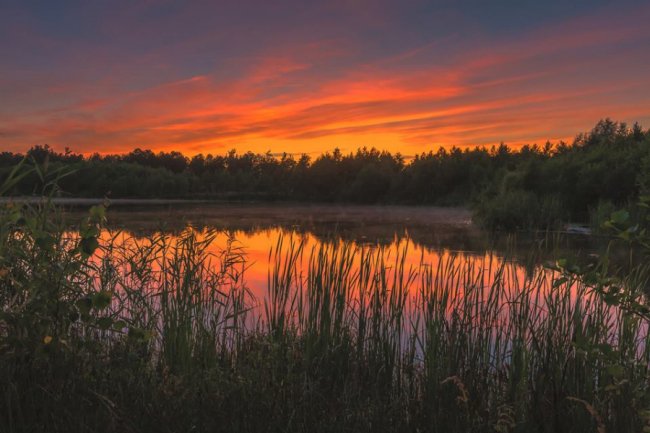 Чарівний світанок на волинському озері. ФОТО