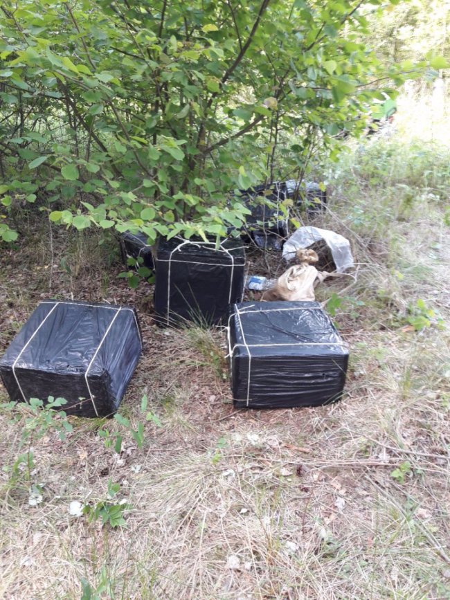 У лісі на Волині виявили сховок із контрабандними цигарками