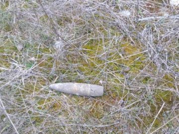 Волинянка на клумбі знайшла небезпечний предмет