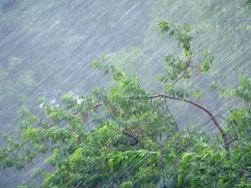 Зливи та шквальний вітер накриють Західну Україну