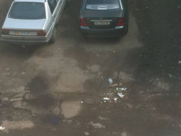 Лучанин поскаржився меру на вивіз сміття. ФОТО. ВІДЕО