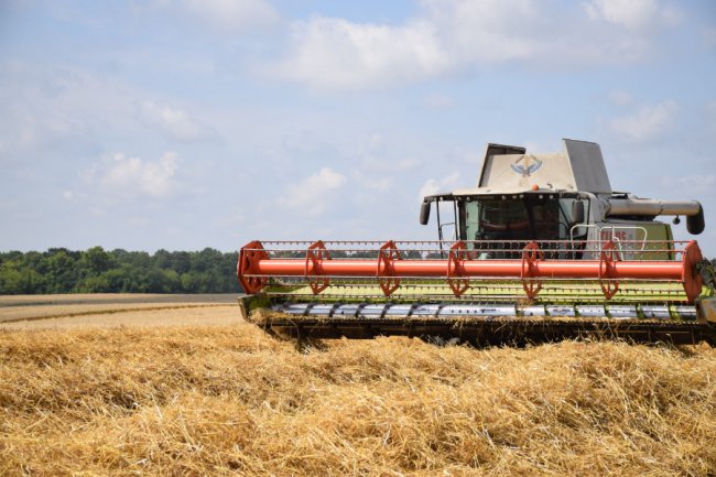 Комбайни з кондиціонерами, європейська зарплата і тонни продукції: як працює ТзОВ «Городище»