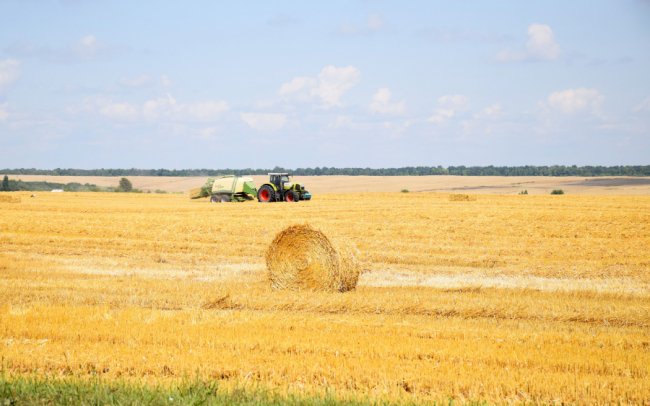 Комбайни з кондиціонерами, європейська зарплата і тонни продукції: як працює ТзОВ «Городище»