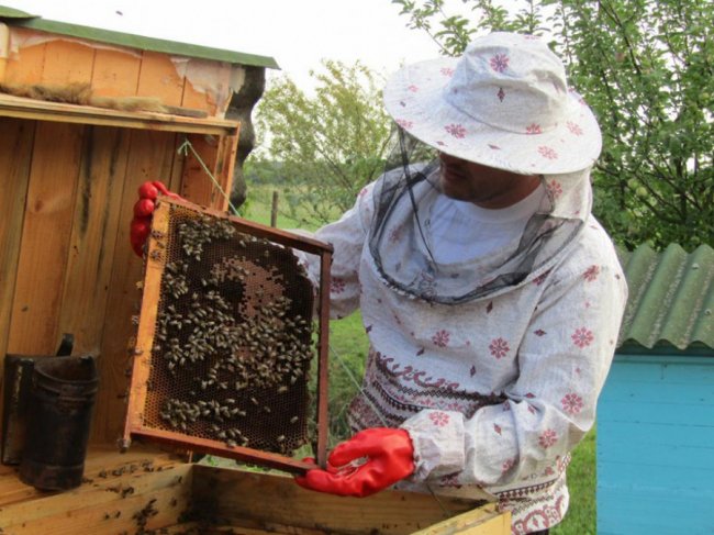 Волинський священик похвалився своєю пасікою. ФОТО