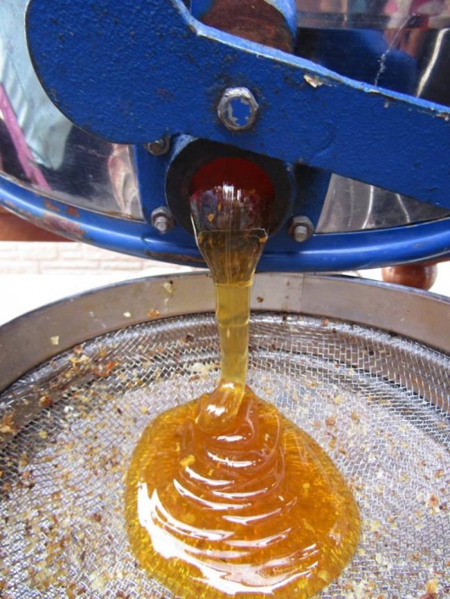 Волинський священик похвалився своєю пасікою. ФОТО