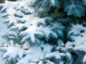 Погода в Луцьку та Волинській області на суботу, 6 лютого