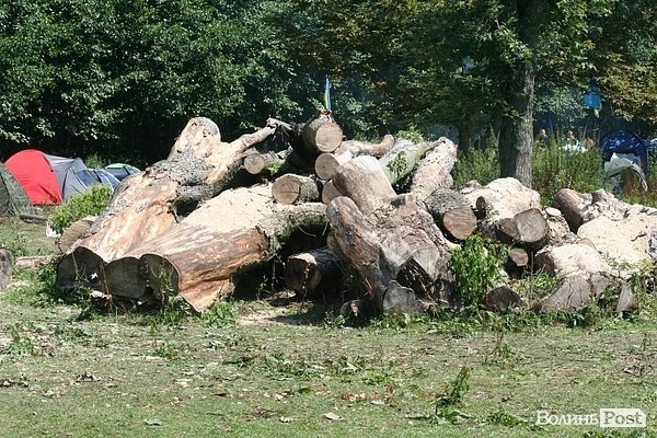 Бандерштат-2014. День перший. ФОТО