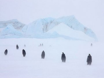 Погодні рекорди: в Антарктиді 91 градус морозу