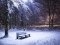 Снігопади та погіршення погоди: чого очікувати на Волині