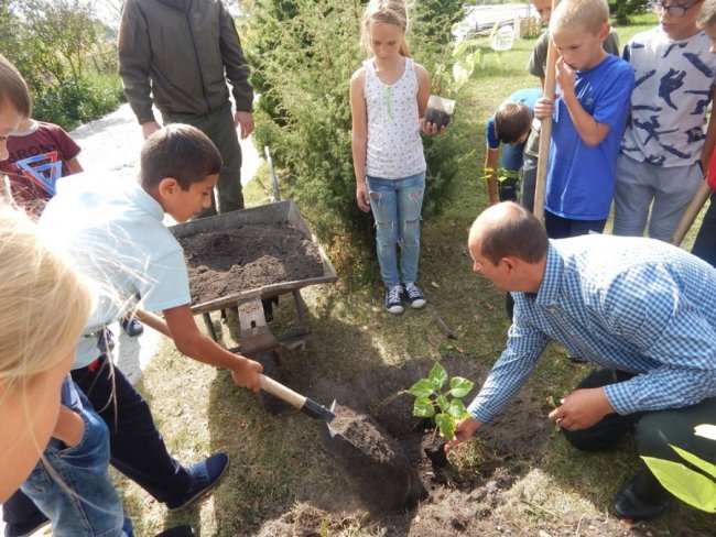 Зростаємо разом: на Волині учні висадили дерева на території школи. ФОТО