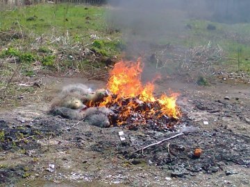 Знищили сотні браконьєрських знарядь