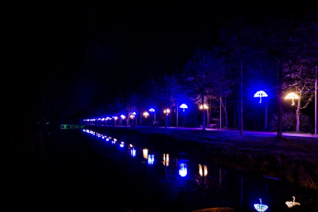 Романтика нічного Луцька: дивовижні фото