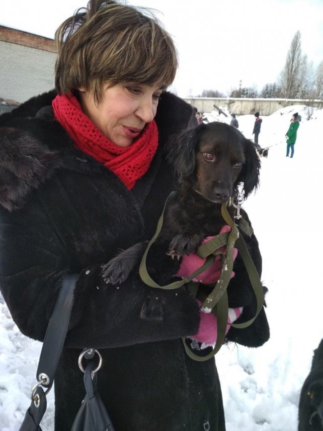 Собаки мають теплі лежаки: на КП «Ласка» пройшов День волонтера. ФОТО