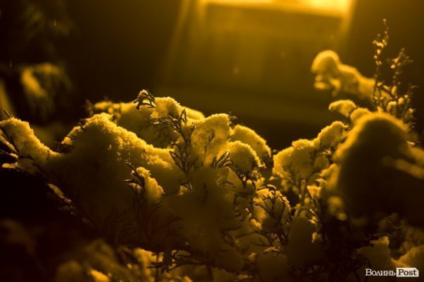 У Луцьк прийшла справжня зима. ФОТО