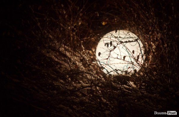 У Луцьк прийшла справжня зима. ФОТО