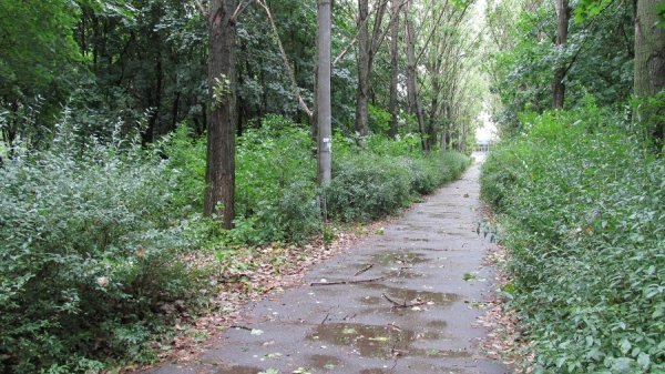 Луцький парк завалили сміттям. ФОТО