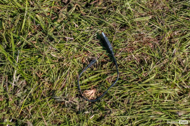 Ранок після фестивалю «Бандерштат». ФОТО