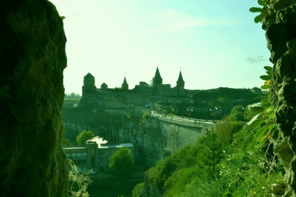 Фотовиставка Ольги Кошелєвої