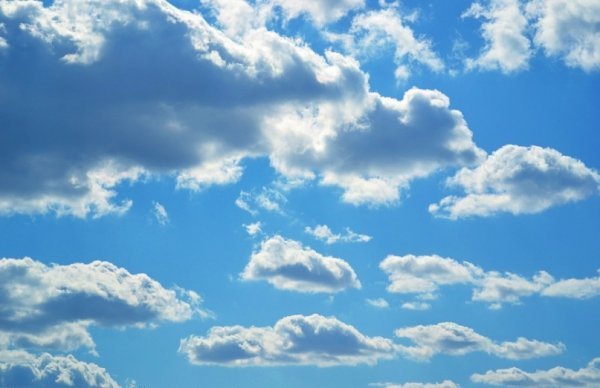 Фотовиставка Ольги Кошелєвої