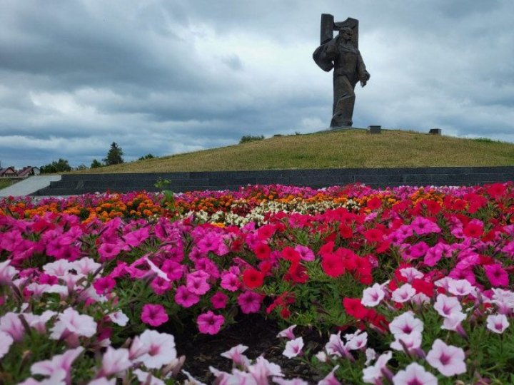 У Ковелі хочуть виділити 2 мільйони на програму «Зелене місто»