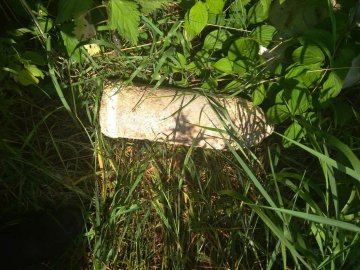 Піротехніки знищили гранату, яку волинянин знайшов біля хати