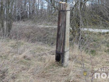 Викрили волинянина, який крав дерев’яні опори лінії зв’язку