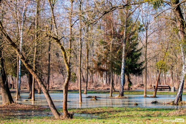 У Луцьку – майже весна. ФОТОРЕПОРТАЖ