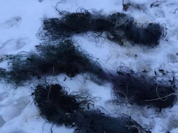 Небайдужий волинянин здав браконьєра, який ловив рибу сітками