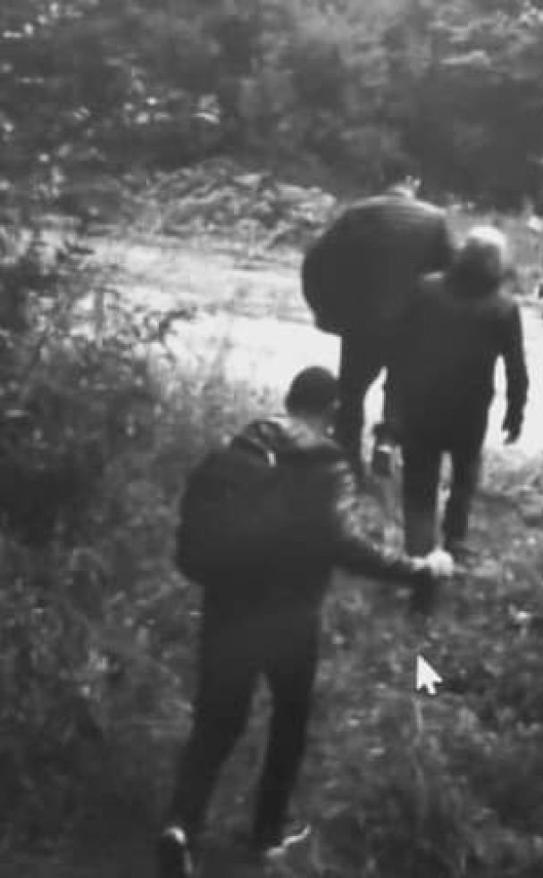 Бігають ухилянти і ведмідь: прикордонники закликають утриматися від незаконного перетину кордону