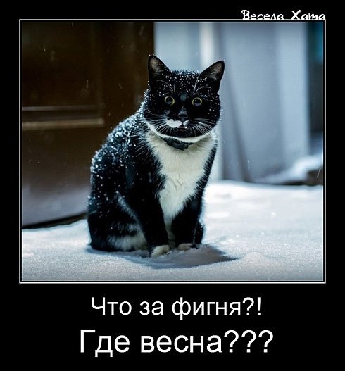 Сніг і сміх: інтернет знову жартує