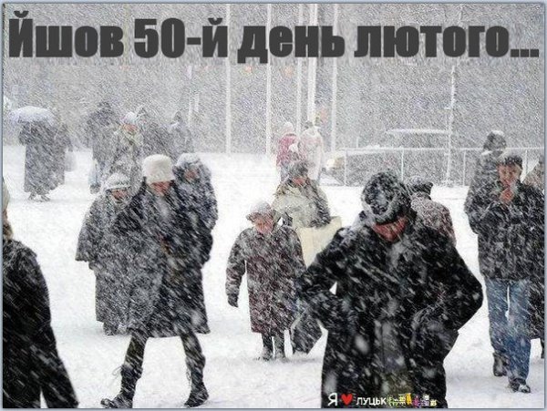 Сніг і сміх: інтернет знову жартує