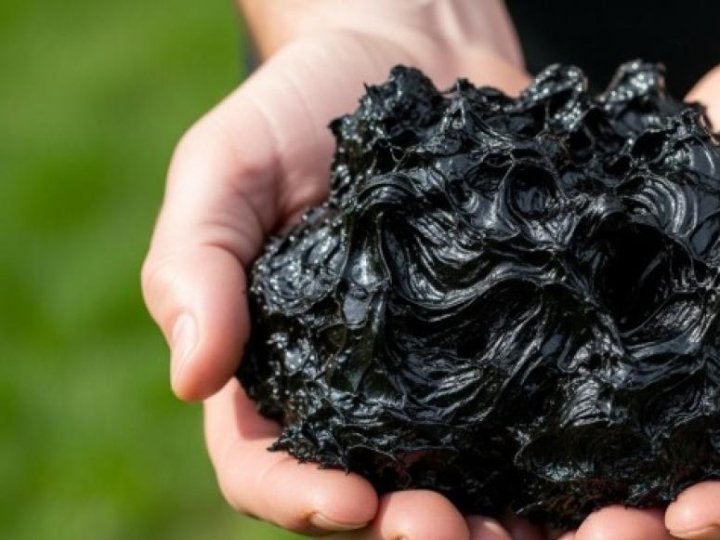 Видобуток сапропелю на озері Синове: хто і за скільки викупив спецдозвіл