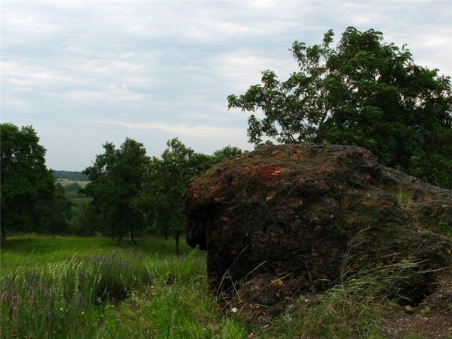 «Чи може юний кат жити поряд із вами?» – бабуся Каті Литкіної звернулась до словенців. ЛИСТ