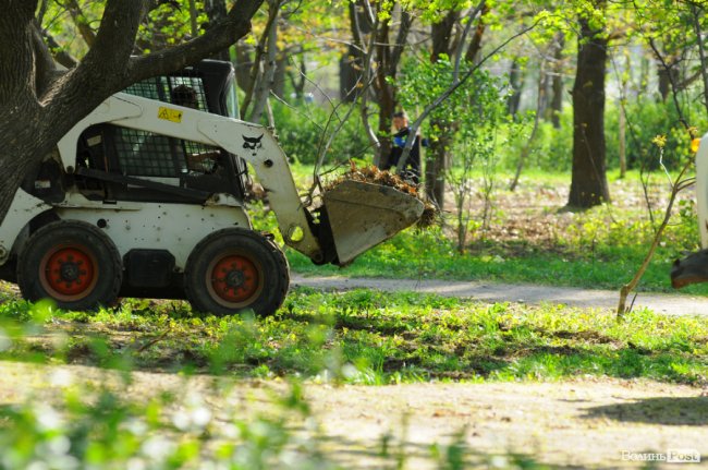 Чисто, як вдома: лучани влаштували велику толоку в парку 900-річчя. ФОТО