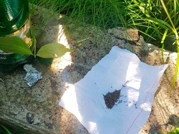 В одному з дворів Луцька спіймали неповнолітнього з наркотиками