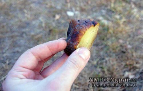 «Бурштинова мафія на Волині» - затримали наступну «армію» копачів сонячного каміння. (ФОТО)