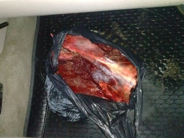 На Волині затримали браконьєрів з тушею оленя. ФОТО